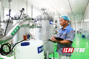 宁乡娃哈哈桶装水生产基地正式建成投产 预计年产值可达2亿元